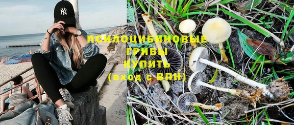 ПСИЛОЦИБИНОВЫЕ ГРИБЫ Волосово